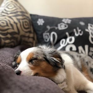 Meet your Posher, Jeremy